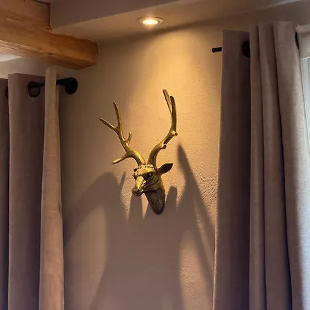 Reitblick Chalet - Boutique Apartment Mit Bergblick ريت ام وينكل